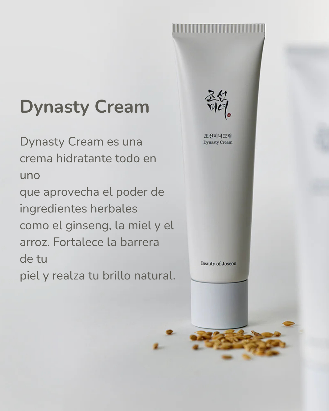 Beauty of Joseon Crema Hidratante Facial Dynasty