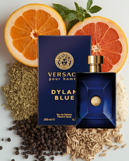 Versace Dylan Blue Pour Homme Eau de Toilette 200ml