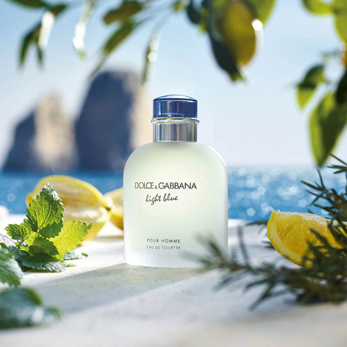 Dolce & Gabbana Light Blue Pour Homme Eau de Toilette 125ml